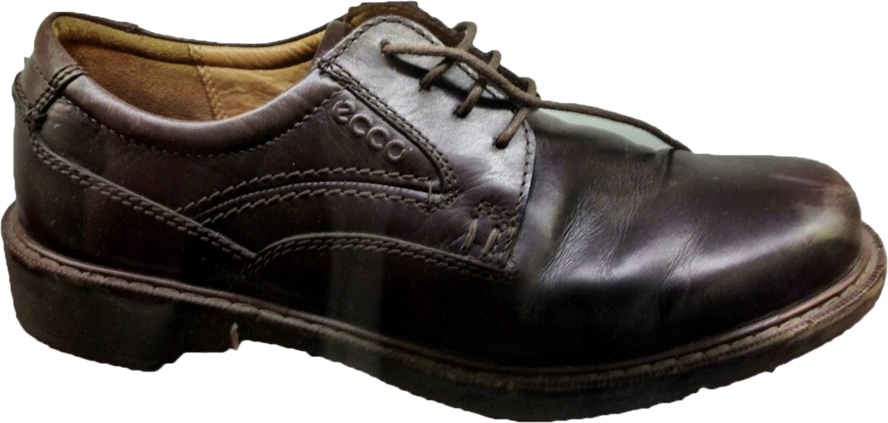 Shoes Thrown at President Bush